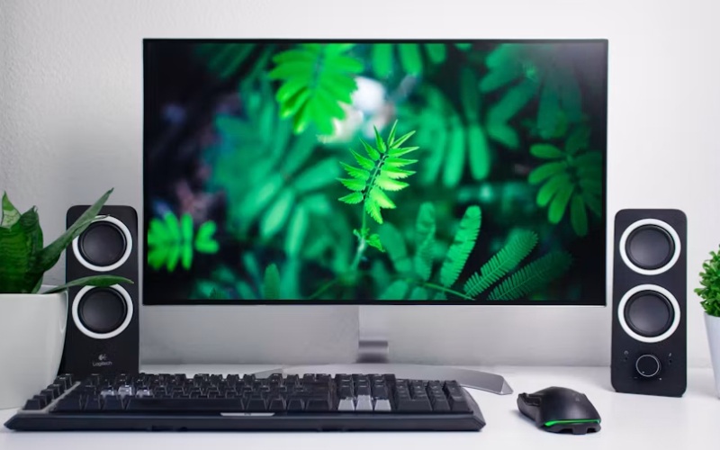 Monitor